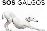 SOS Galgos